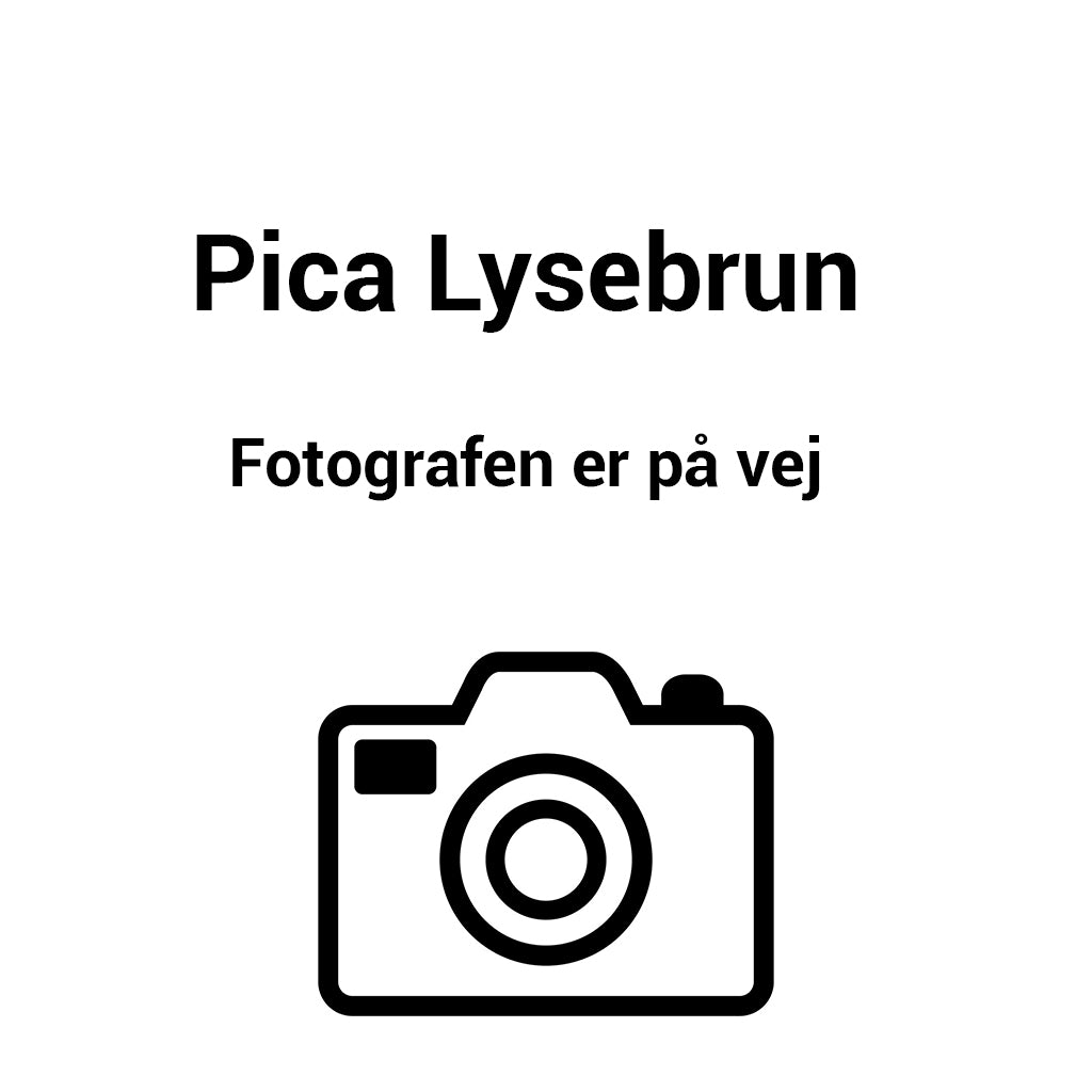 Pica